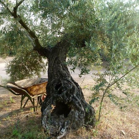 La Aragonesa Konuk evi Marmolejo Dış mekan fotoğraf