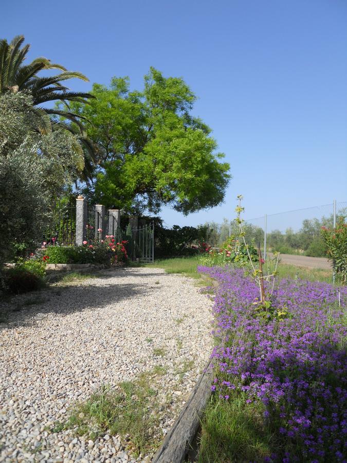 La Aragonesa Konuk evi Marmolejo Dış mekan fotoğraf